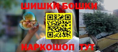 МДПВ Бийск