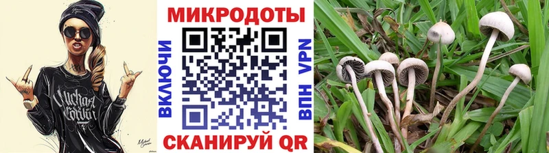 Галлюциногенные грибы мицелий Калуга