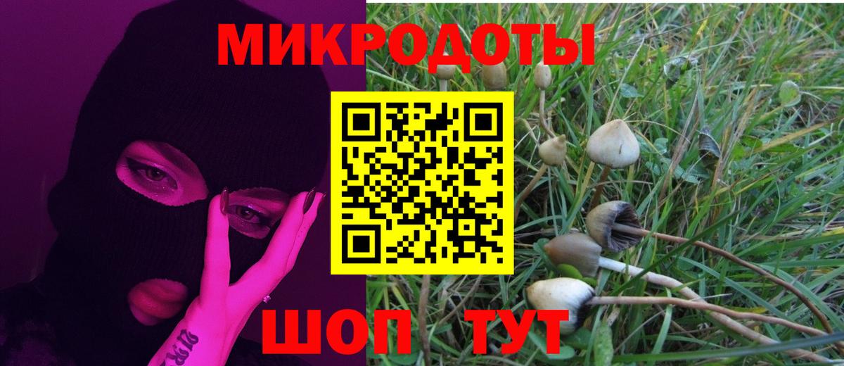 Псилоцибиновые грибы MAGIC MUSHROOMS  Калуга 