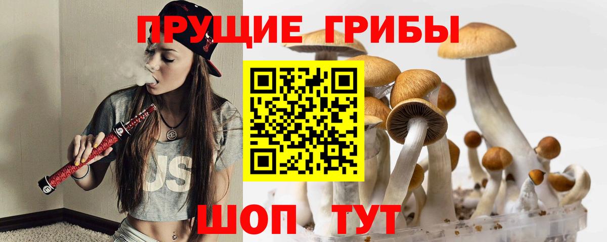 Галлюциногенные грибы Cubensis  Вход с VPN  Псилоцибиновые грибы Cubensis  Калуга 